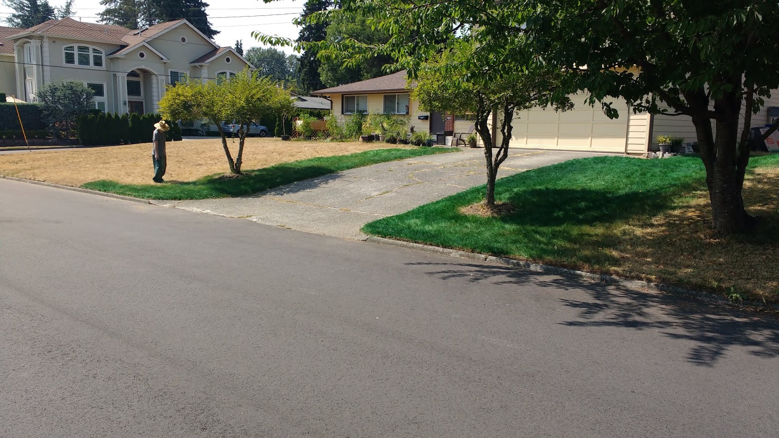 Dorsett Landscaping Turf Paint