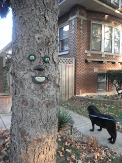 albero halloween america Halloween america albero