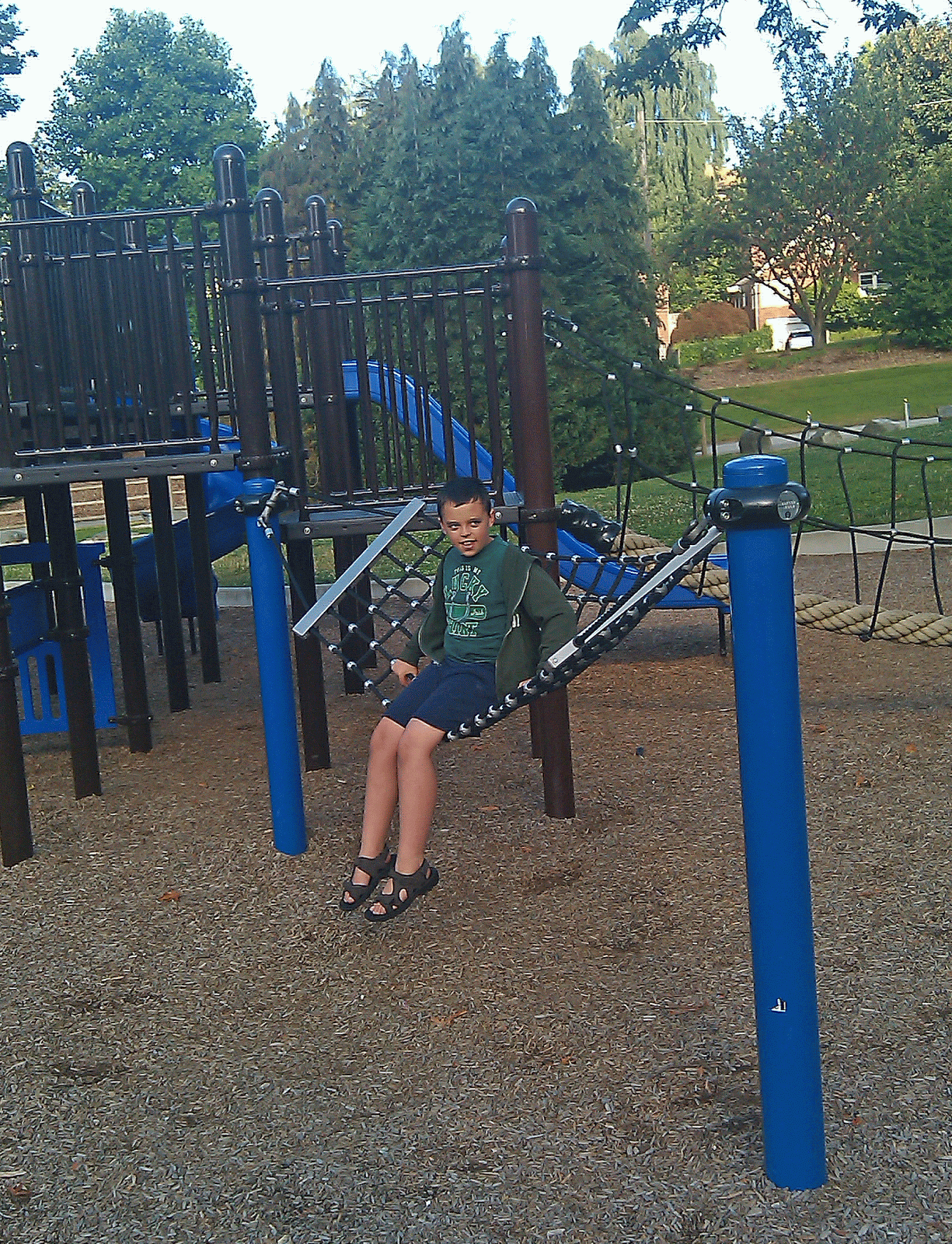 My View of the Honeypot Playground Tour Ravenna Park