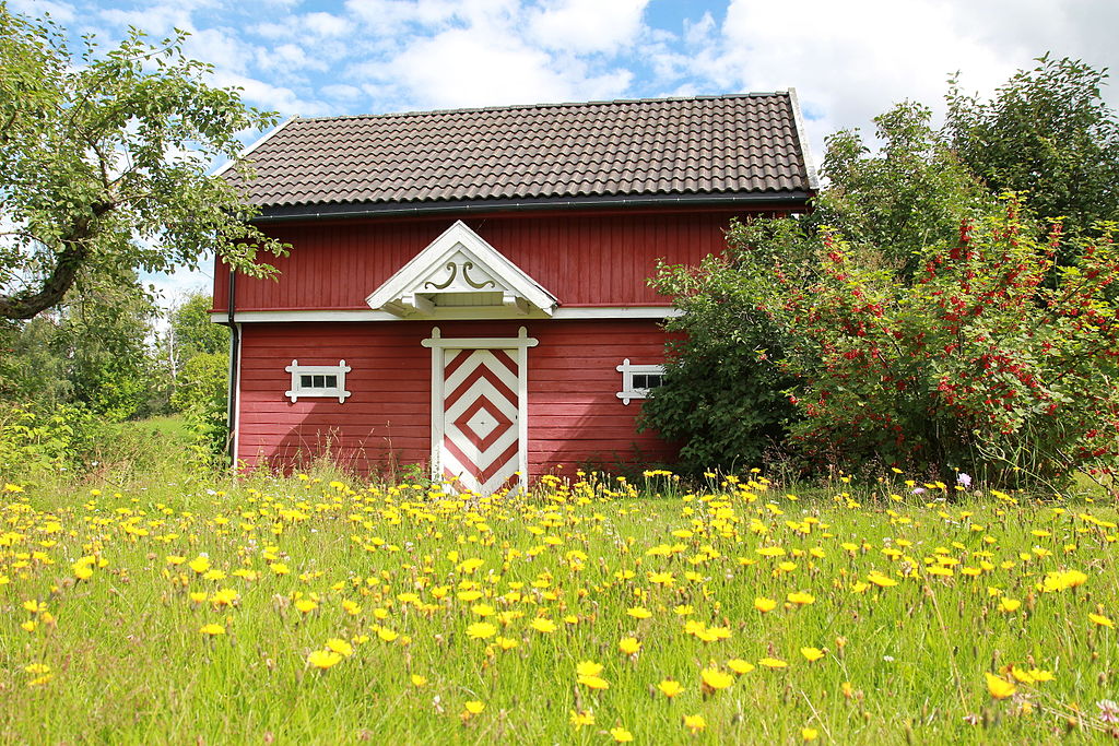 Kjøkken avløp orgie