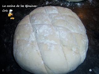 100_8205.JPG