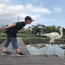 小小魚和小魚兒, 2018春假宜蘭小旅行, (4) 武暖石板橋