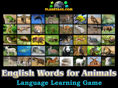 English Words for Animals