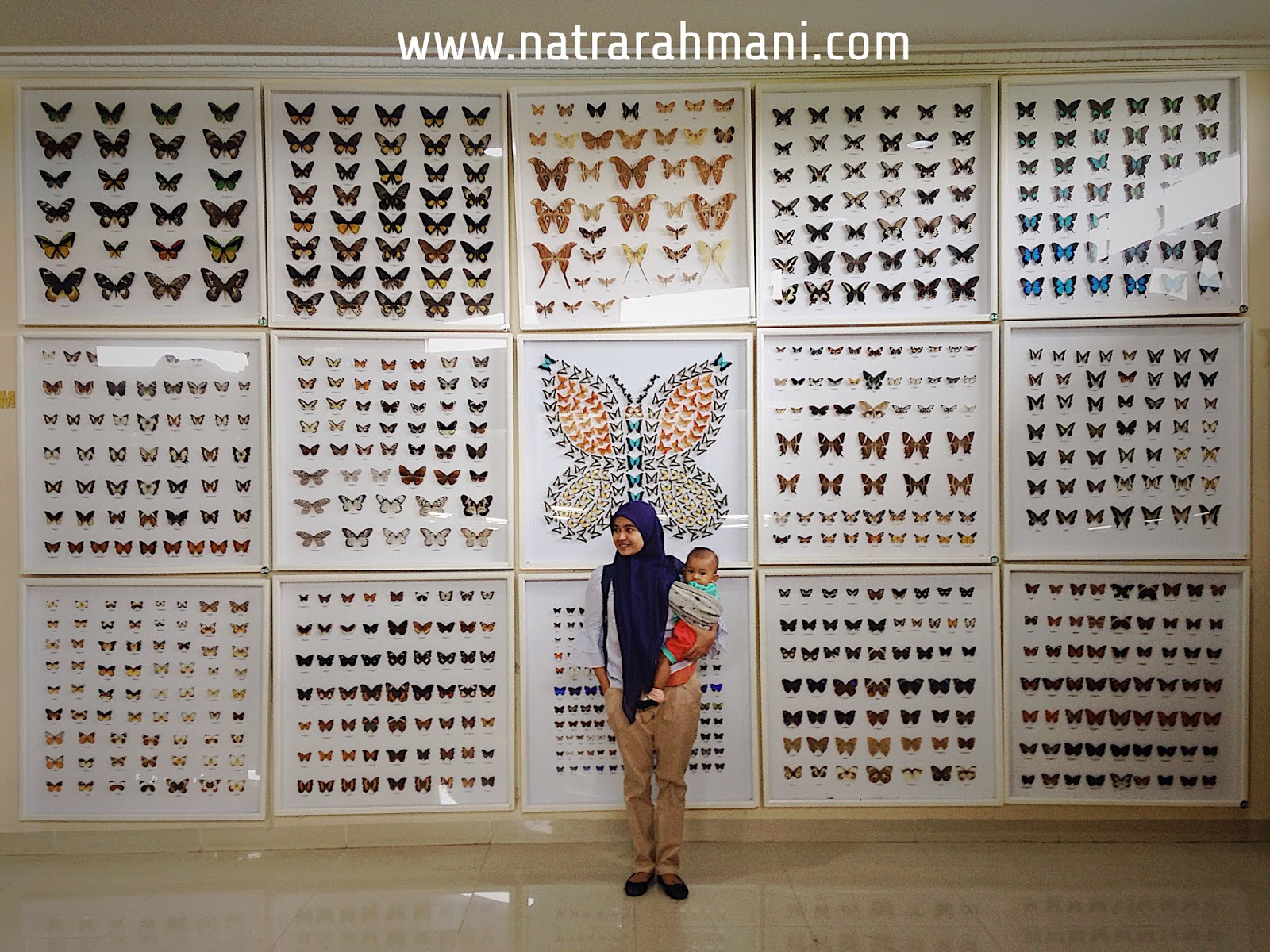 rahmat-international-wildlife-museum-gallery