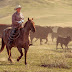 Adventures Of John Dietrich