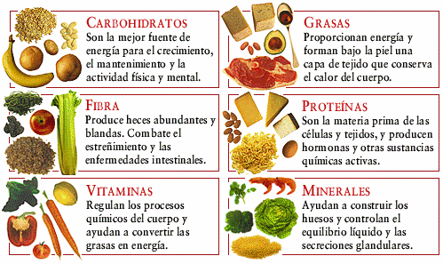 Dieta mediterranea alimentos prohibidos