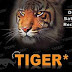 TIGER Z98 PRO: NOVA ATUALIZAÇÃO V17.03 - 08/06/2016