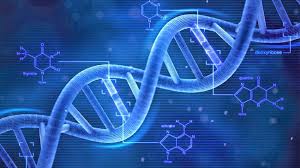 Komposisi Kimia dan Rantai DNA Komposisi Kimia dan Rantai DNA