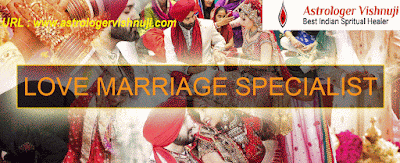 http://www.astrologervishnuji.com/