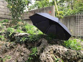 Windjammer Umbrella in a rock garden,Okinawa