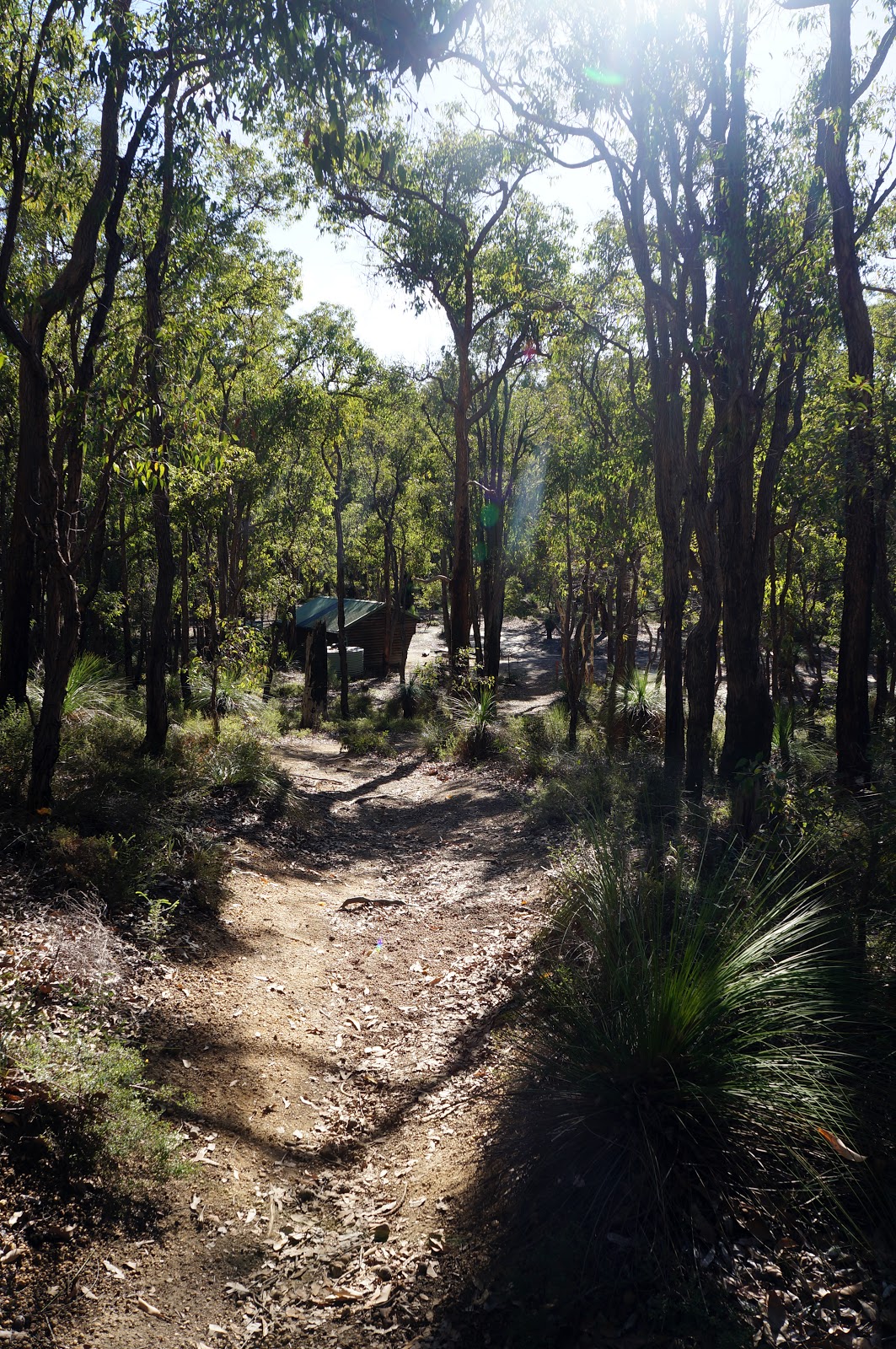 Bibbulmun Track (WA) Mundaring Weir to Ball Creek The Long Way's Better