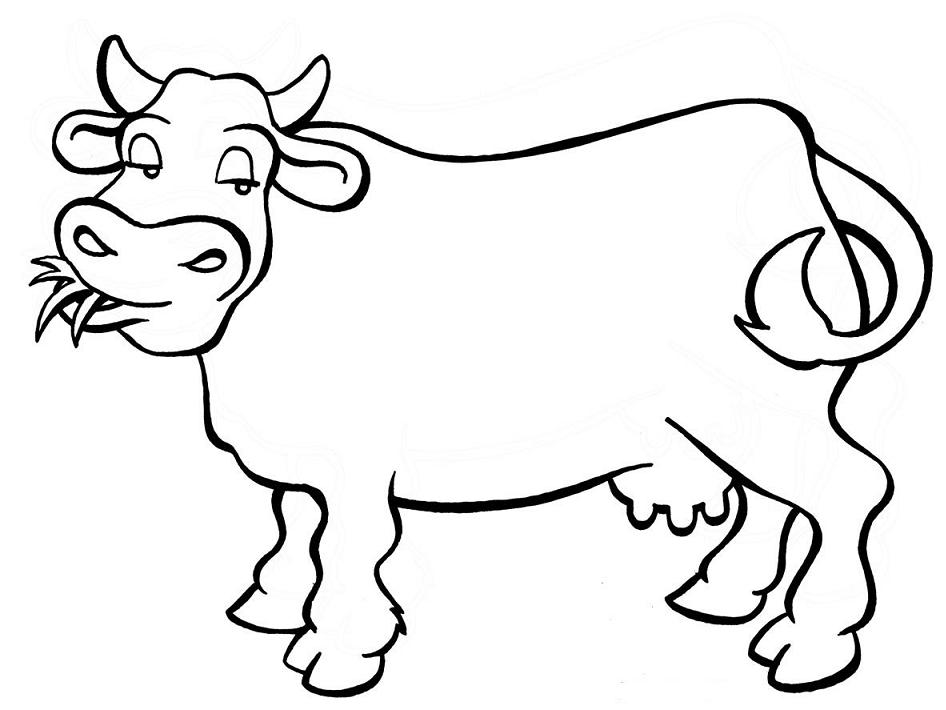 180 desenhos de animais atividades para colorir pintar imprimir