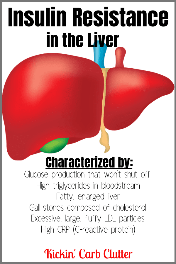 Insulin Resistance in the Liver