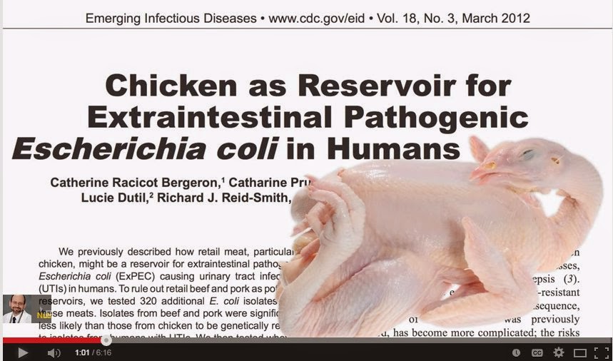 Where Do You Get E Coli From ? Home Remedies for Bladder Infection