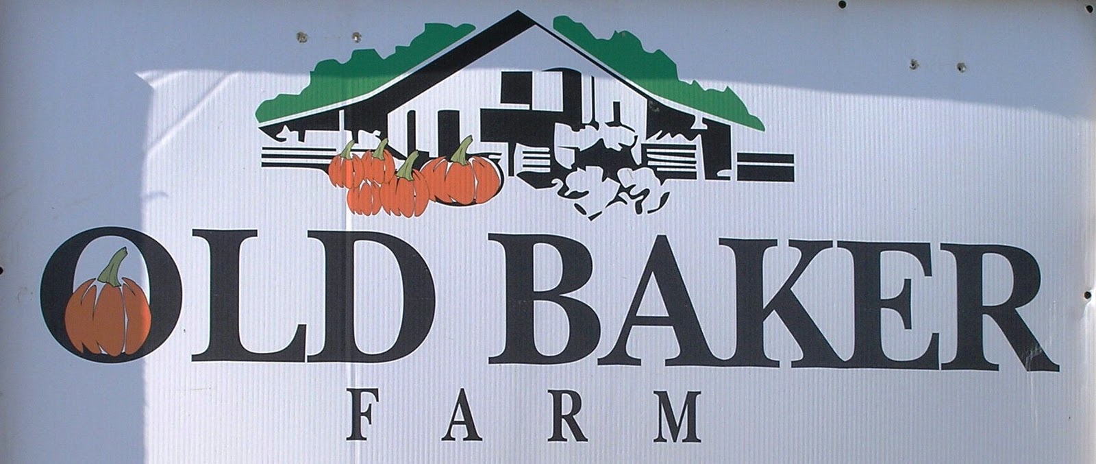 Alabama Empty Nester Old Baker Farm