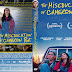 The Miseducation of Cameron Post DVD Cover