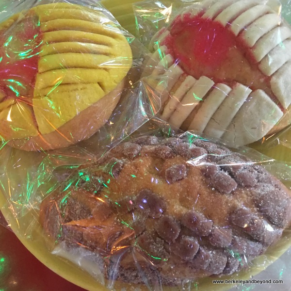 pan dulces at Mi Tierra Cafe y Panaderia at Market Square in San Antonio, Texas pan dulces at Mi Tierra Cafe y Panaderia at Market Square in San Antonio, Texas
