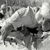 Красный ангел смерти. Лучший снайпер ВОВ.