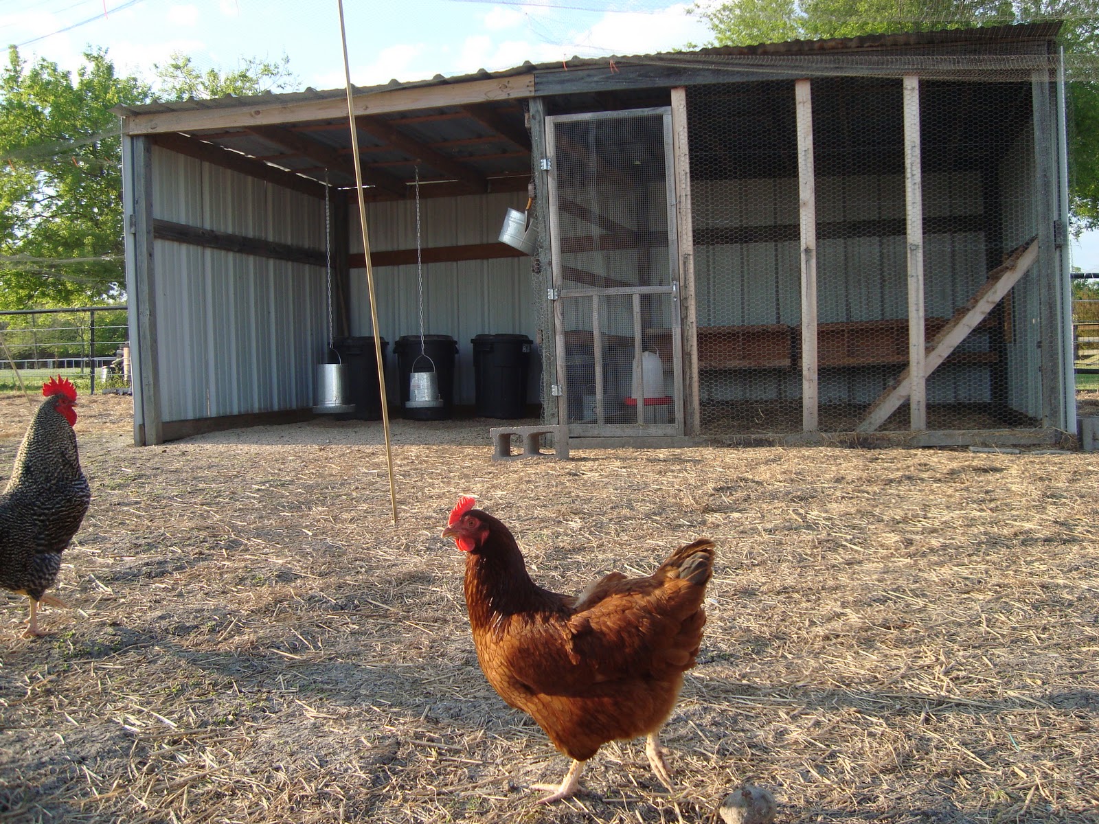 Life on My Hobby Farm. . . Chicken Coop Care