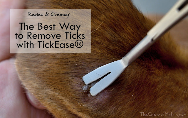 TickEase Tick Removal Tool