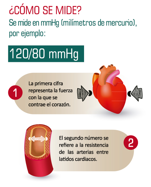 ¿Cómo se mide la presión arterial sistólica y diastólica con un esfigmomanómetro?