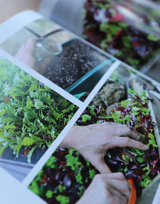Sneak Peek - My first gardening book is published - Pre-orders are welcome! Sneak Peek - My first gardening book is published - Pre-orders are welcome!