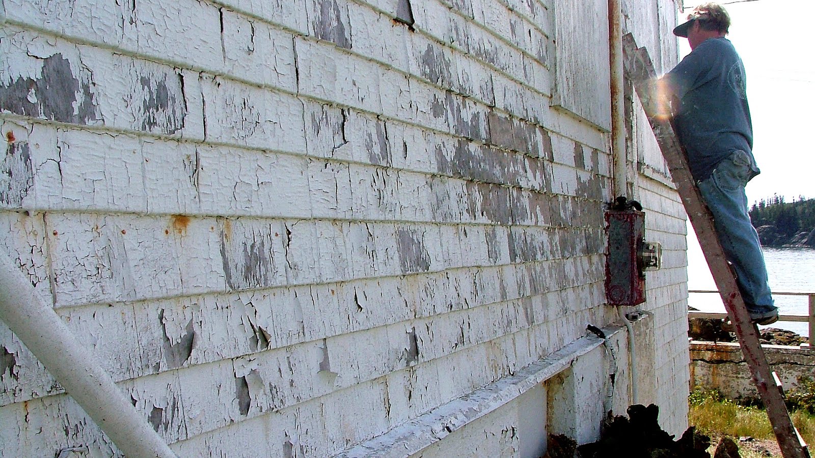 Leadbased paint in the United States Paint Choices