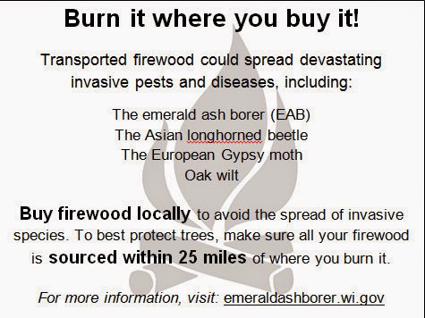 Burn it, don't travel with wood