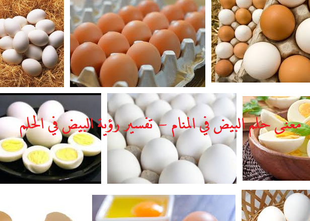 معنى حلم البيض في المنام - تفسير رؤية البيض في الحلم معنى حلم البيض في المنام - تفسير رؤية البيض في الحلم