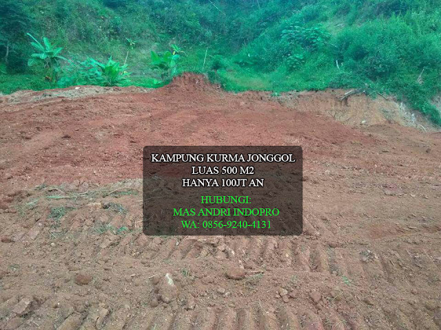 KAMPUNG-KURMA-JONGGOL-TANAH-KAVLING-KEBUN-KURMA KAMPUNG-KURMA-JONGGOL-TANAH-KAVLING-KEBUN-KURMA
