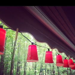 solo cup lights christmas redneck birthday neck crafts theme patio trash cups plastic parties says pocket diy brush hand