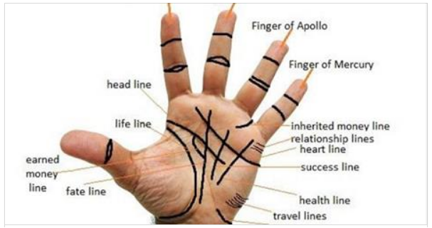 what-palm-lines-do-rich-people-have-heath-care