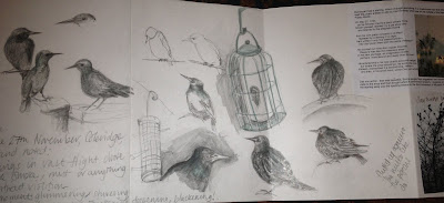 Starlings in sketchbook