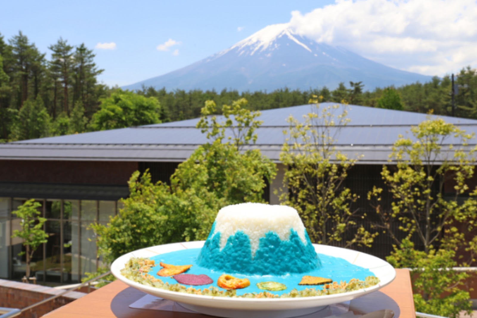 Mt.FUJI静岡・富士山 LAVA CAFE（ラヴァカフェ）山梨県立富士山世界遺産センター「青い富士山カレー」レトルト版「富士山溶岩ドッグ」_カフェ&ミュージアムショップ Spring