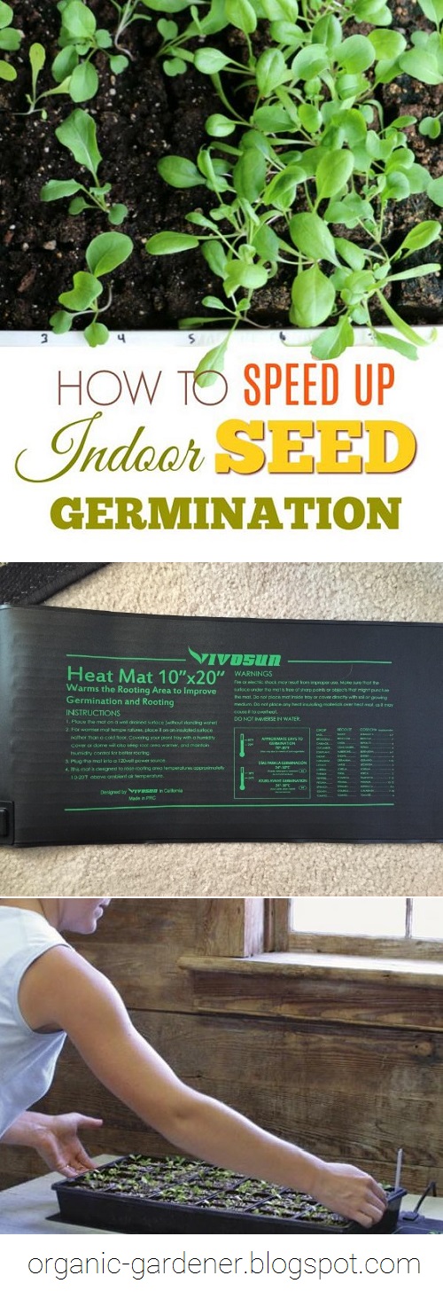 How to speed up the germination of seeds Using a Seedling Heat Mat