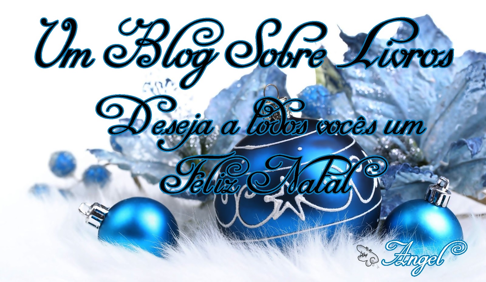 Cantinho da cher...: é natal, confraternização... seja bem vindo, natal 2012 | ♥ Um blog sobre Livros