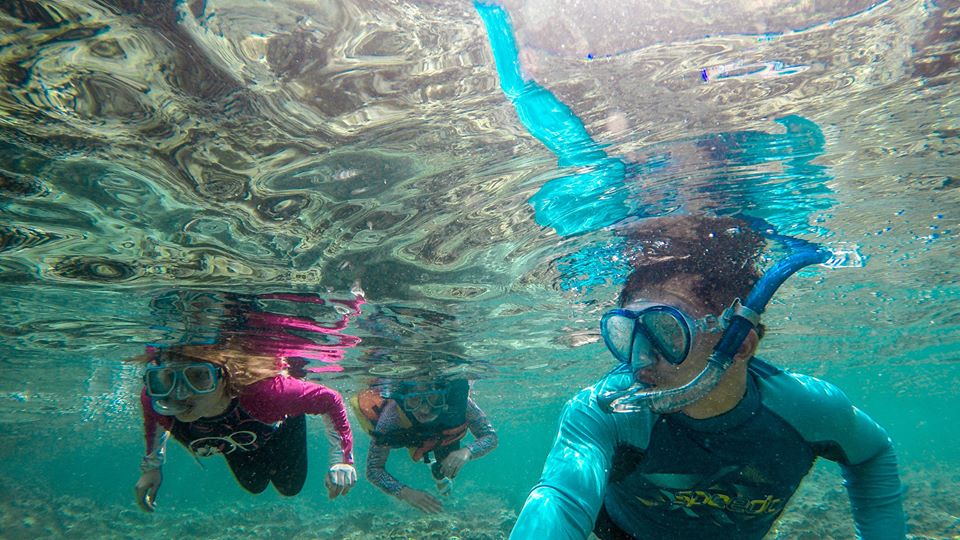 diving in anilao batangas