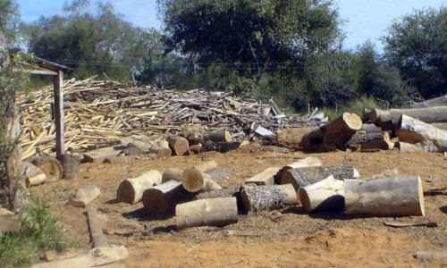 Resultado de imagen para PARAGUAY: LA TIERRA PARA LOS DELINCUENTES AMBIENTALES
