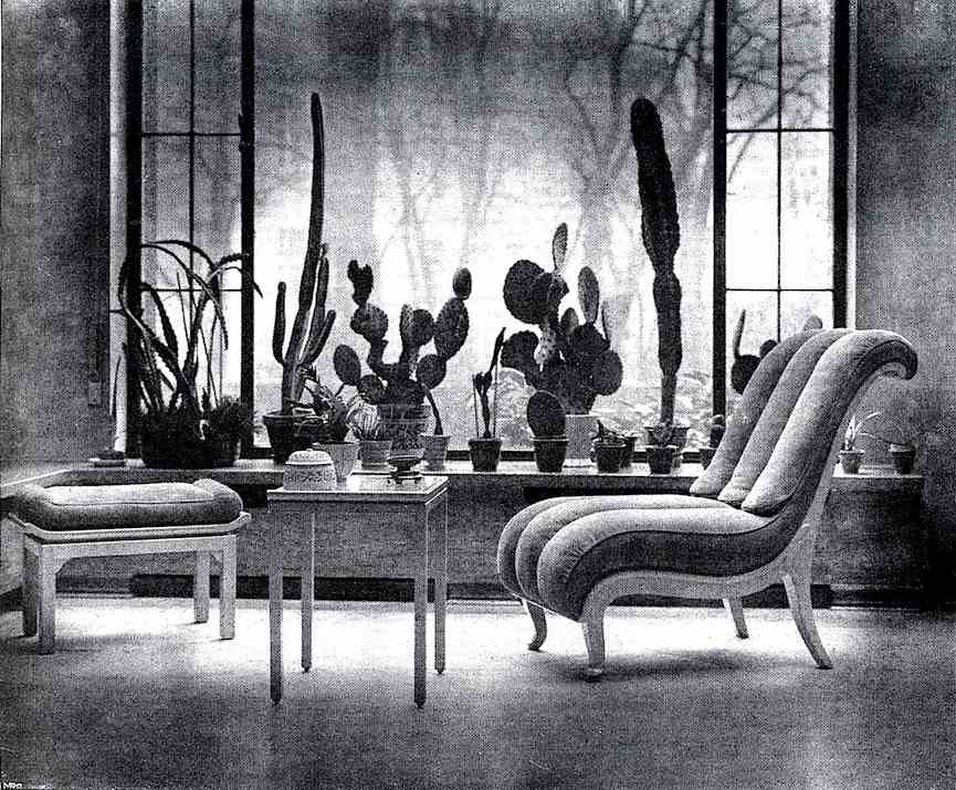 interior cactus garden 1926 a photograph of an interior cactus garden, 1926