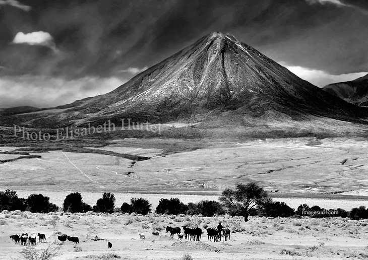 beautiful black and white nature photography | Nice Pics Gallery