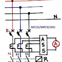hình nền mèo cute 4k
