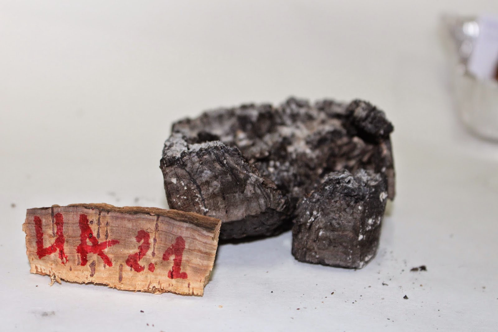 FuegoLab El secreto está en la raspa