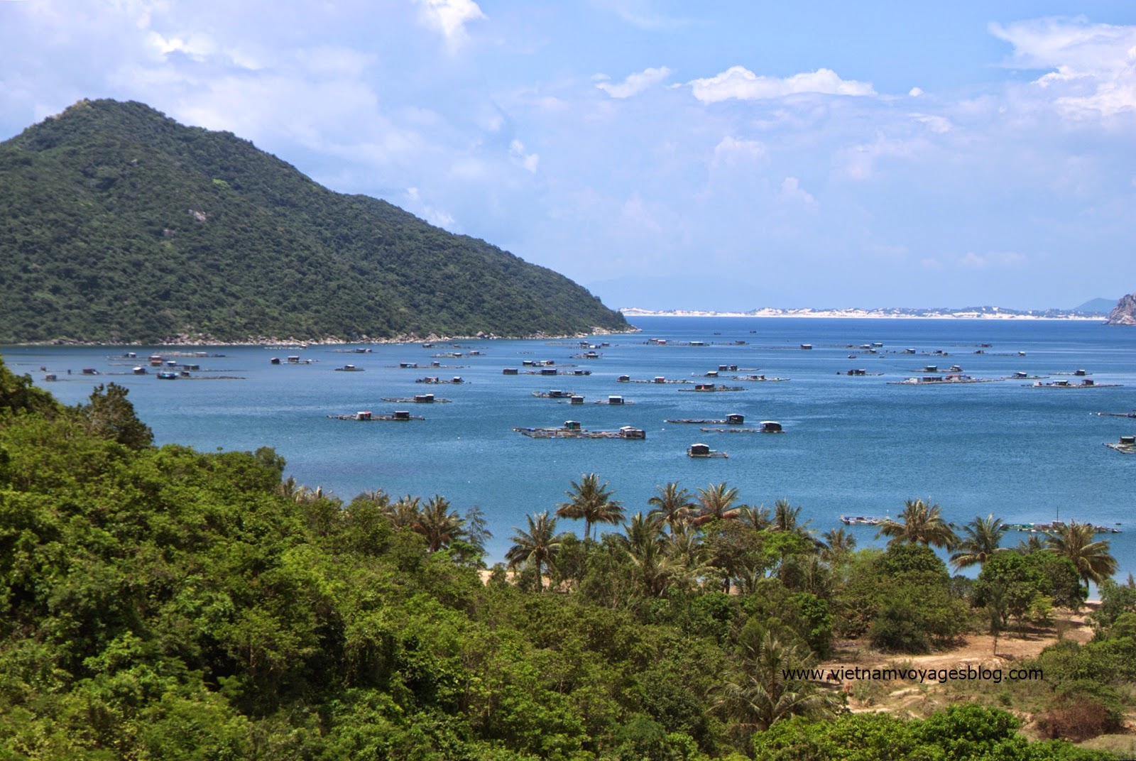 Nuôi cá bè ở Vịnh Vũng Rô, Phú Yên 2014