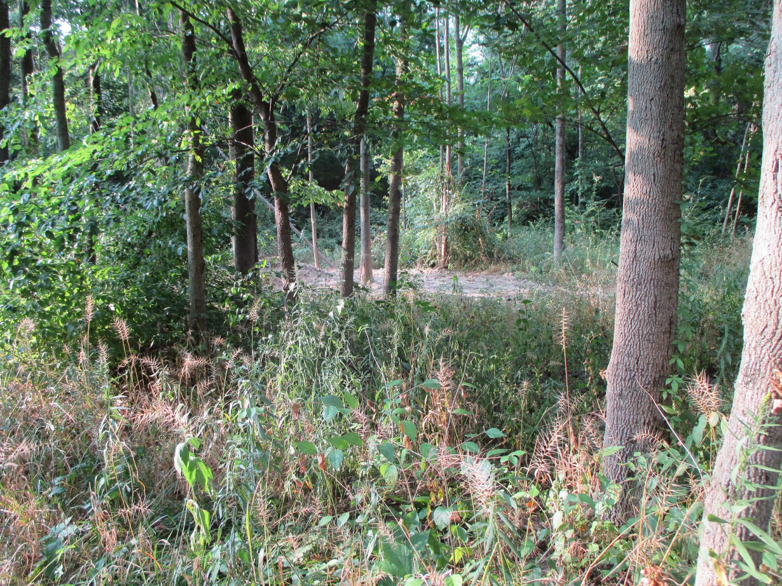 FINISHING TOUCHES NATURAL BURIAL HYBRID CEMETERY