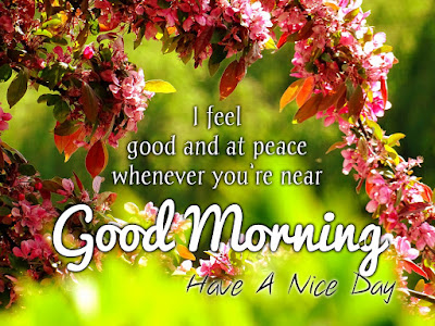 Good Morning Images Good Morning Images