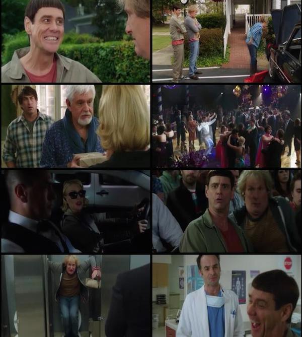 Dumb And Dumber To 2014 Dual Audio Hindi English BRRip 480p Dumb And Dumber To 2014 Dual Audio Hindi English BRRip 480p
