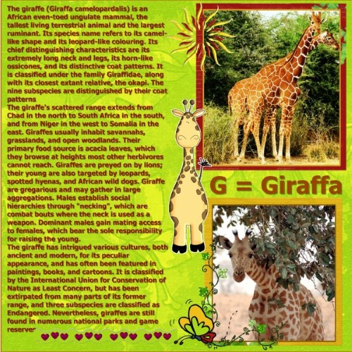 July 2016 - G = Giraffa