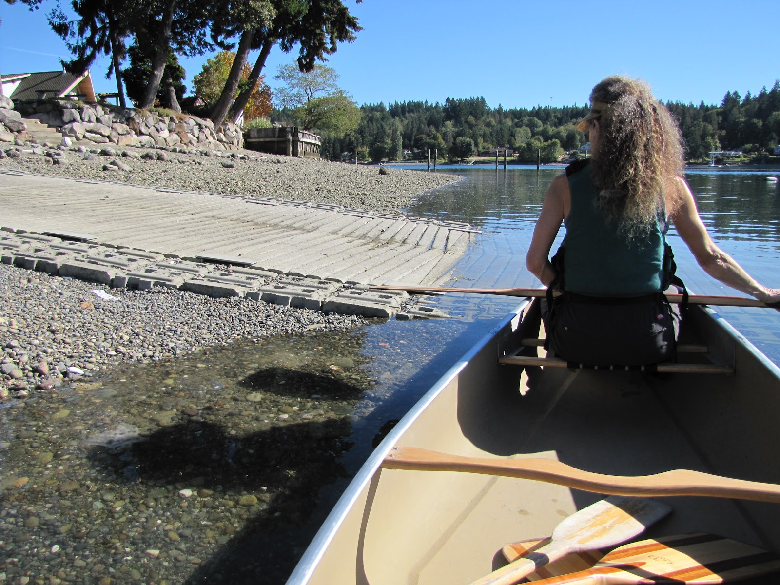 Flitzy Phoebie Vaughn Bay on Puget Sound
