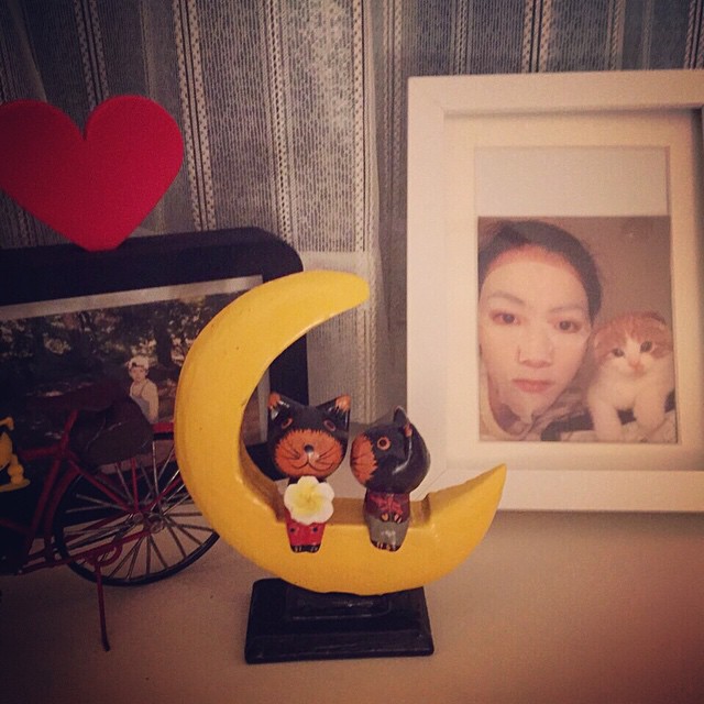 강지영네 고양이 | 인스티즈