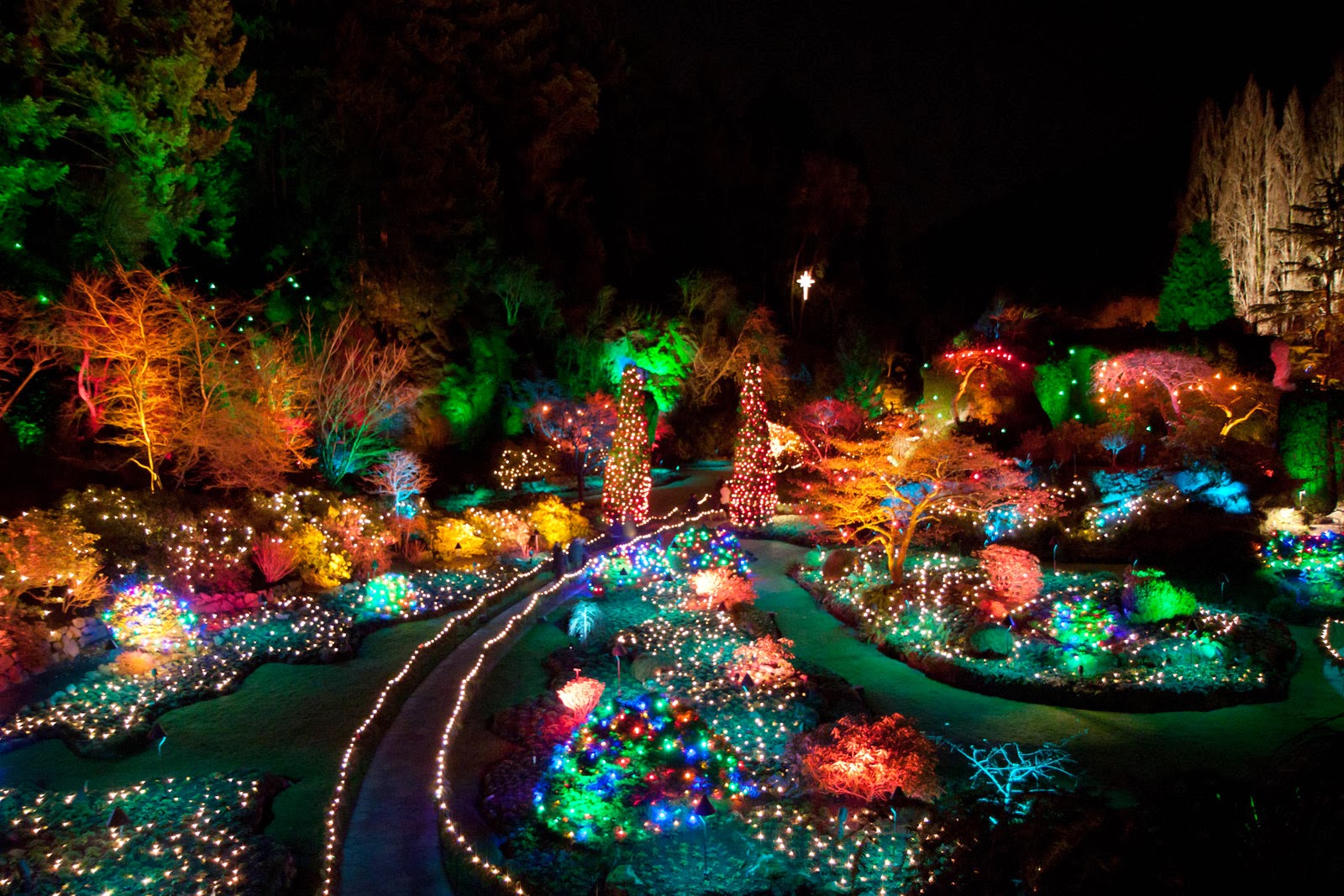 Evening photo: Christmas lights at Butchart Gardens, Victoria, BC ...